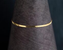 χρυσο φιδι πλακε